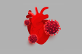 Graphics depicting a heart and coronavirus
