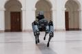 Robopies Boston Dynamics na Wydziale Fizyki PW