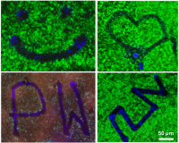 — Wcielenie w życie projektu mikrostruktur, który początkowo istniał tylko w głowie dr. Orzechowskiego i mojej, było szalenie satysfakcjonujące — wspomina Weronika. Na zdjęciu widać tekstury ciekłego kryształu obserwowane pod mikroskopem polaryzacyjnym.